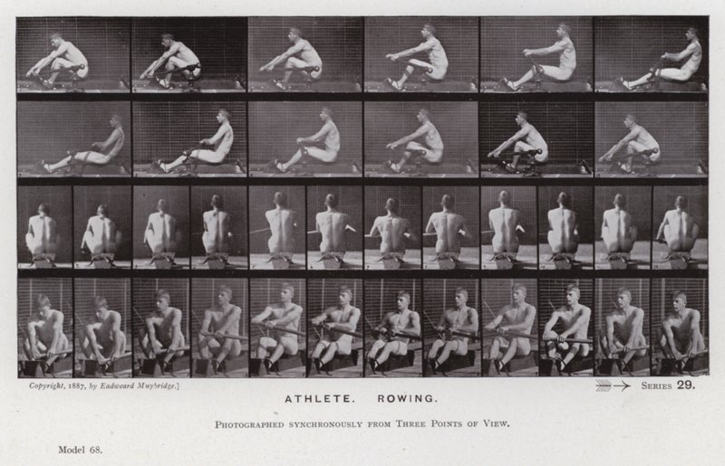 La Figura Humana en Movimiento: Atleta, Remando de Eadweard Muybridge