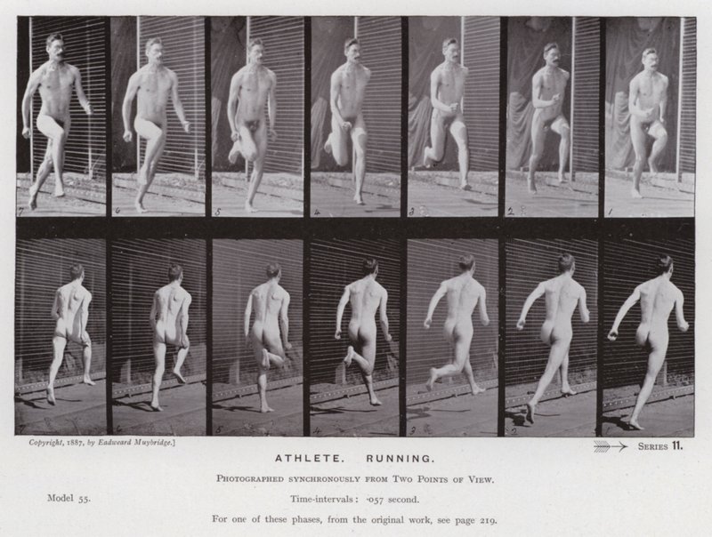 La figura humana en movimiento: Atleta, corriendo de Eadweard Muybridge