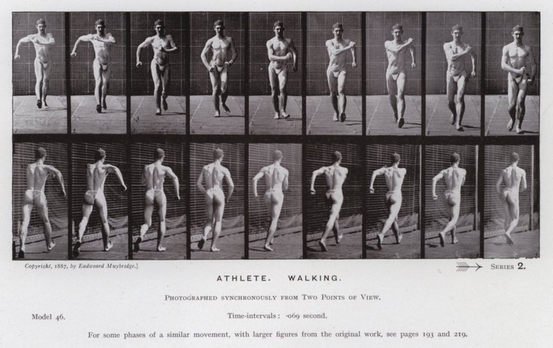 La figura humana en movimiento: Atleta, caminando de Eadweard Muybridge