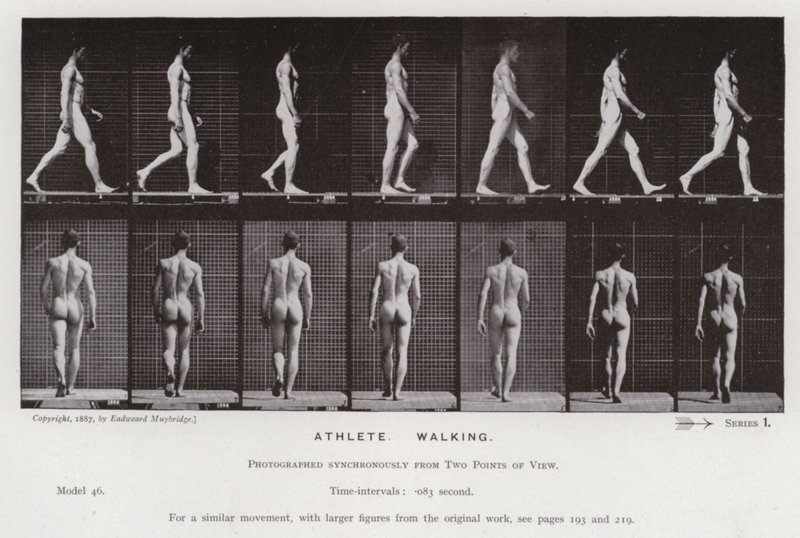 La Figura Humana en Movimiento: Atleta, Caminando de Eadweard Muybridge