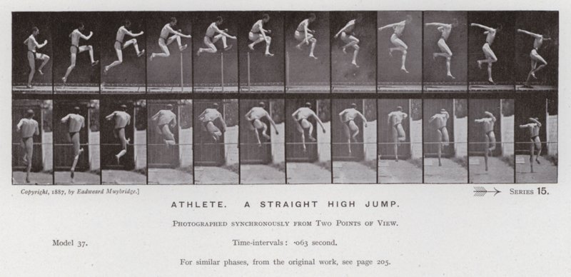 La figura humana en movimiento: Atleta, salto alto recto de Eadweard Muybridge