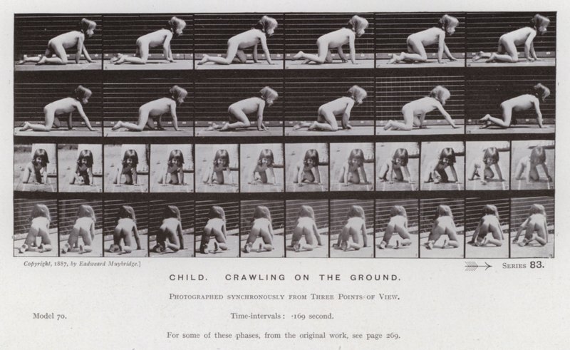 La Figura Humana en Movimiento: Niño, gateando en el suelo de Eadweard Muybridge