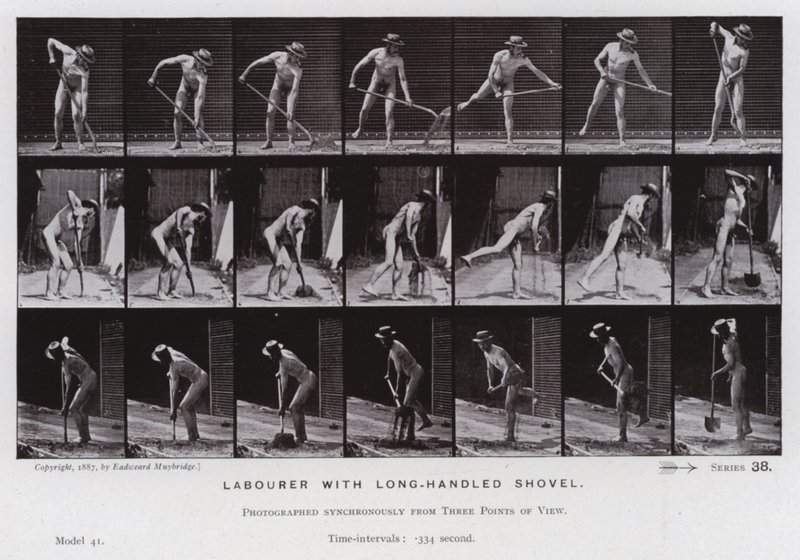 La Figura Humana en Movimiento: Obrero con pala de mango largo de Eadweard Muybridge