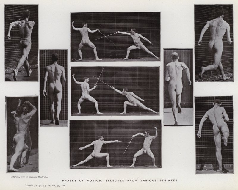 La figura humana en movimiento: Fases de movimiento, seleccionadas de varias series de Eadweard Muybridge
