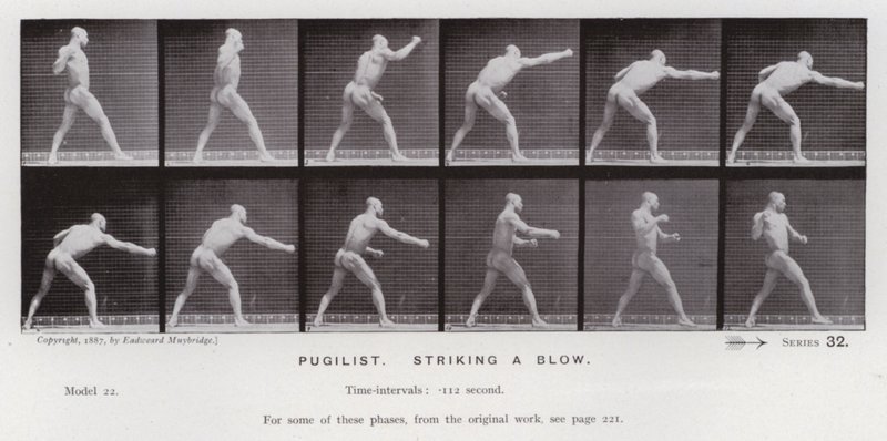 La figura humana en movimiento: Pugilista, lanzando un golpe de Eadweard Muybridge