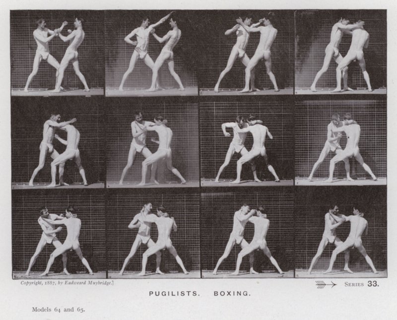 La Figura Humana en Movimiento: Pugilistas, Boxeo de Eadweard Muybridge