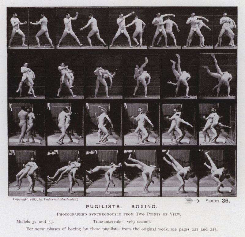 La figura humana en movimiento: Pugilistas, boxeo de Eadweard Muybridge