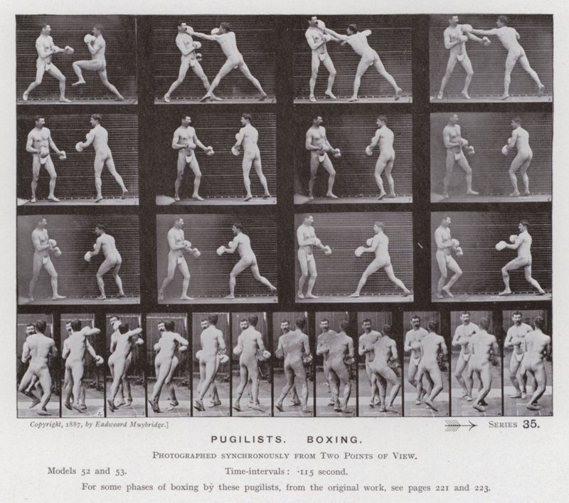 La figura humana en movimiento: Pugilistas, boxeando de Eadweard Muybridge