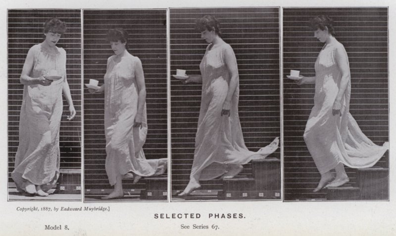 La figura humana en movimiento: Fases seleccionadas de Eadweard Muybridge
