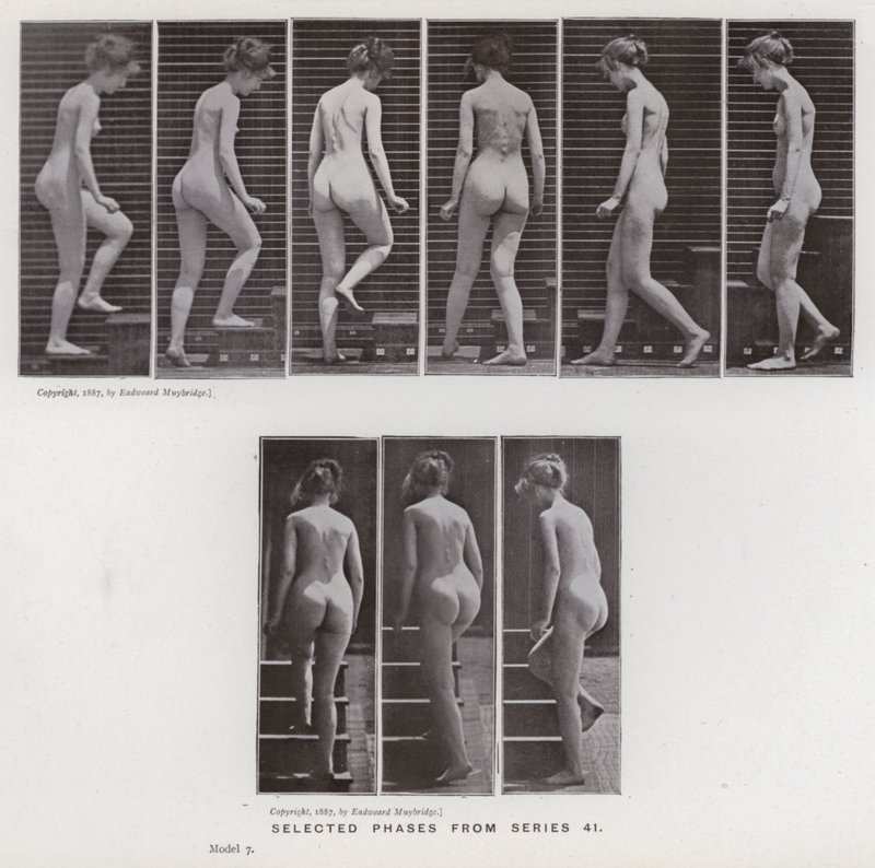 La figura humana en movimiento: Fases seleccionadas de la serie 41 de Eadweard Muybridge