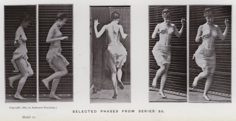 La figura humana en movimiento: Fases seleccionadas de la serie 55 de Eadweard Muybridge