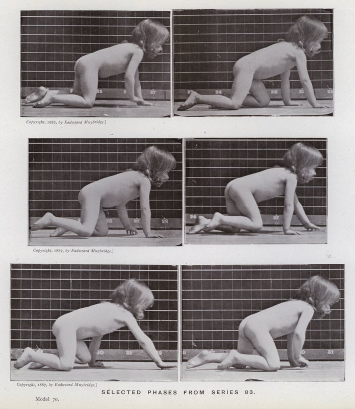 La figura humana en movimiento: Fases seleccionadas de la serie 83 de Eadweard Muybridge