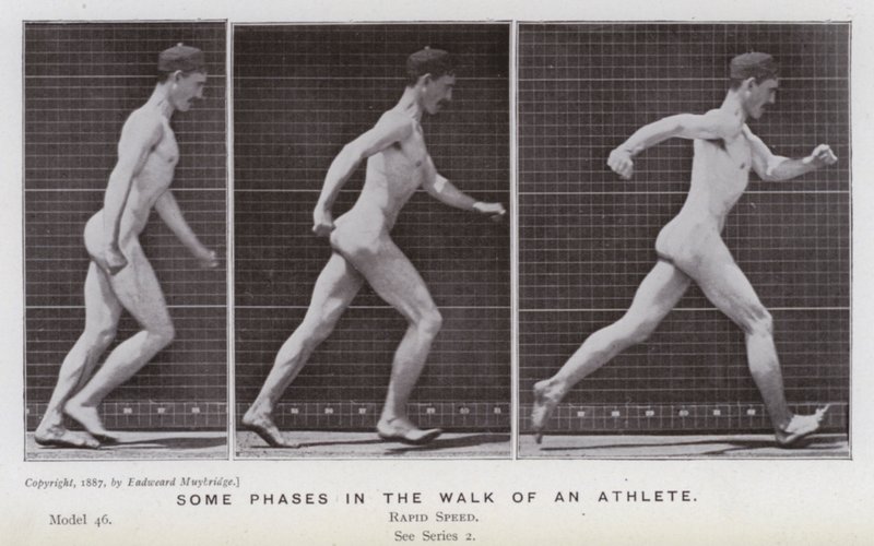 La Figura Humana en Movimiento: Algunas fases en la caminata de un atleta de Eadweard Muybridge