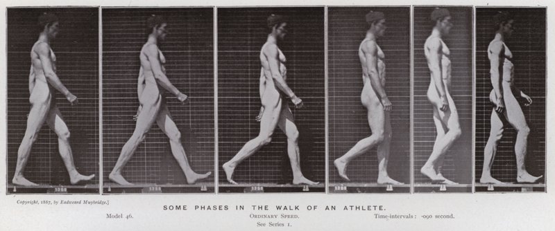 La figura humana en movimiento: Algunas fases en la caminata de un atleta de Eadweard Muybridge