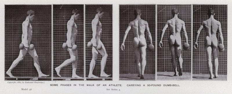La figura humana en movimiento: Algunas fases en la caminata de un atleta, cargando una pesa de 50 libras de Eadweard Muybridge