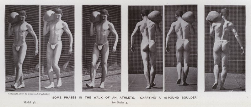La Figura Humana en Movimiento: Algunas fases en la caminata de un atleta, cargando una roca de 75 libras de Eadweard Muybridge