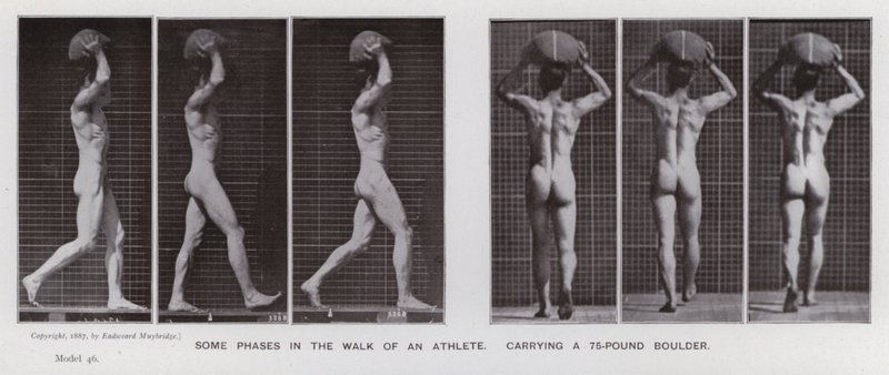 La figura humana en movimiento: Algunas fases en la caminata de un atleta, cargando una roca de 75 libras de Eadweard Muybridge
