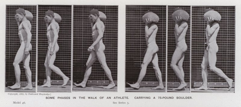 La figura humana en movimiento: Algunas fases en la caminata de un atleta, cargando una roca de 75 libras de Eadweard Muybridge