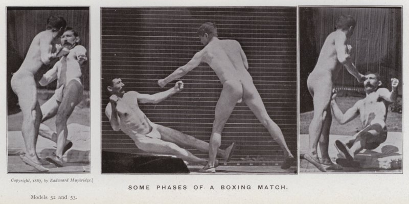 La figura humana en movimiento: Algunas fases de un combate de boxeo de Eadweard Muybridge
