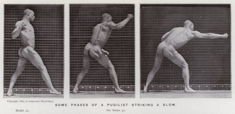 La Figura Humana en Movimiento: Algunas fases de un pugilista golpeando de Eadweard Muybridge