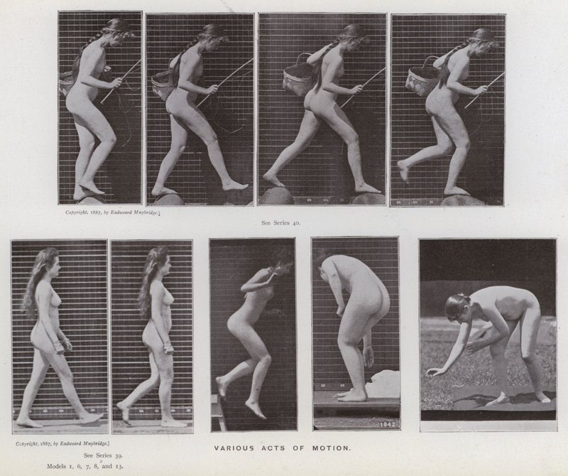 La figura humana en movimiento: Varios actos de movimiento de Eadweard Muybridge