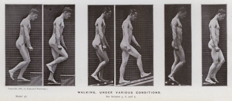 La Figura Humana en Movimiento: Caminando, Bajo Varias Condiciones de Eadweard Muybridge
