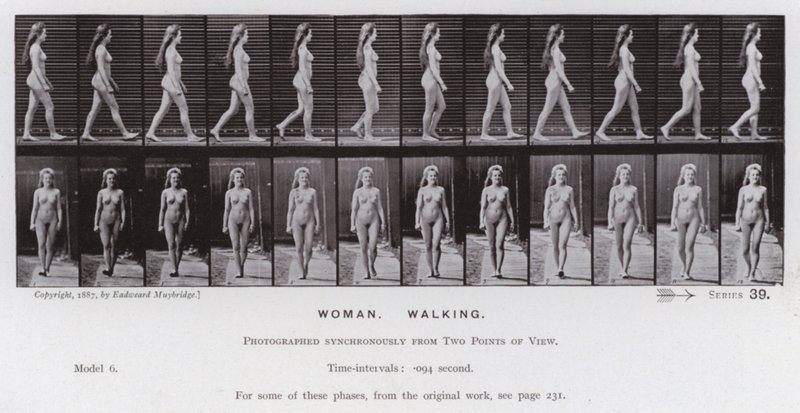 La Figura Humana en Movimiento: Mujer, Caminando de Eadweard Muybridge