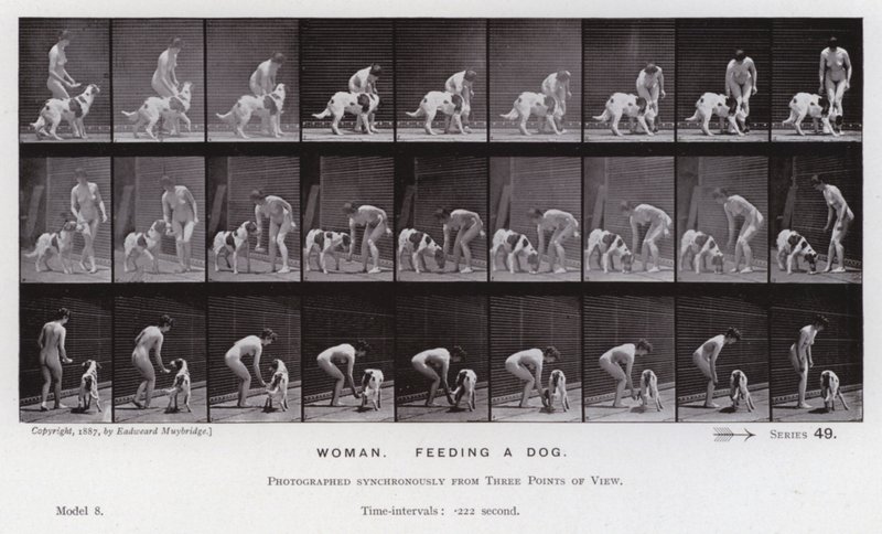 La figura humana en movimiento: Mujer, alimentando a un perro de Eadweard Muybridge