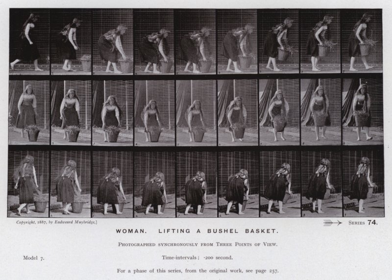 La Figura Humana en Movimiento: Mujer, Levantando una Cesta de Bushel de Eadweard Muybridge