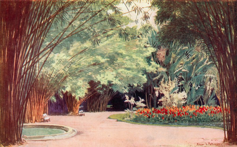 Un bosquecillo de bambú, Jardín Botánico (litografía en color) de Edgar L. Pattison