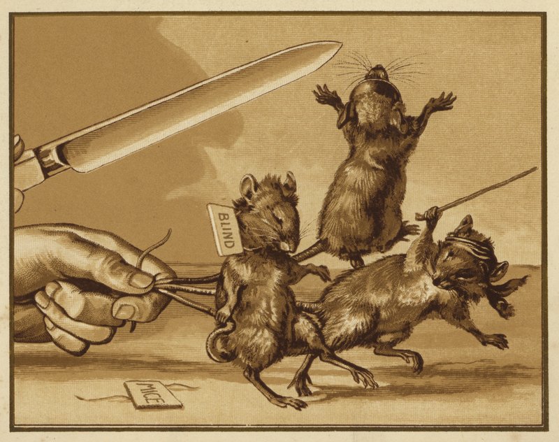 Ilustración para Three Blind Mice (litografía en color) de Edmund G. Caldwell
