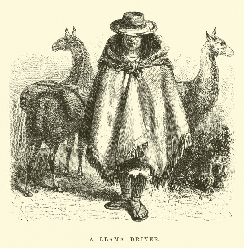 Un conductor de llama de Edouard Riou
