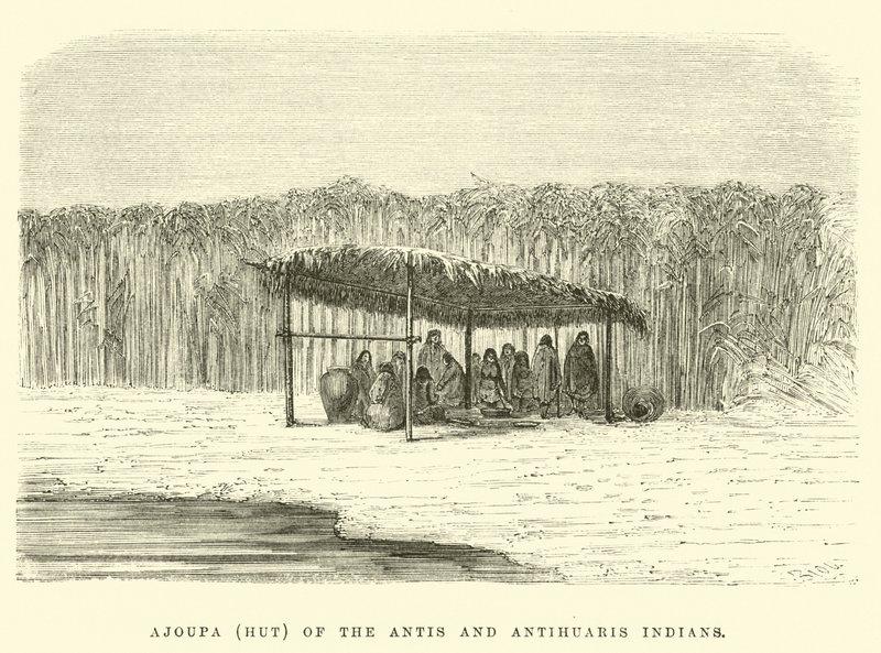 Ajoupa (choza) de los indios Antis y Antihuaris de Edouard Riou