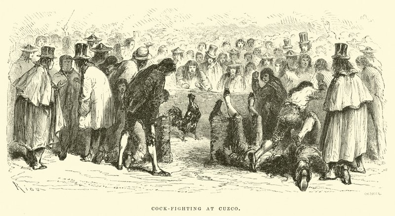 Pelea de gallos en Cuzco de Edouard Riou