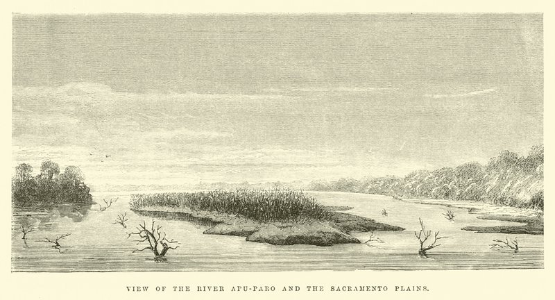 Vista del Río Apu-Paro y las Llanuras de Sacramento de Edouard Riou