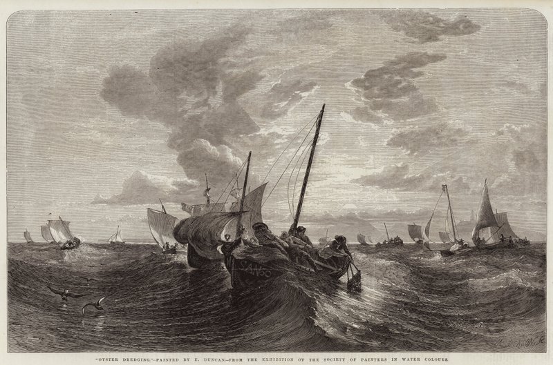 Dredging de ostras de Edward Duncan