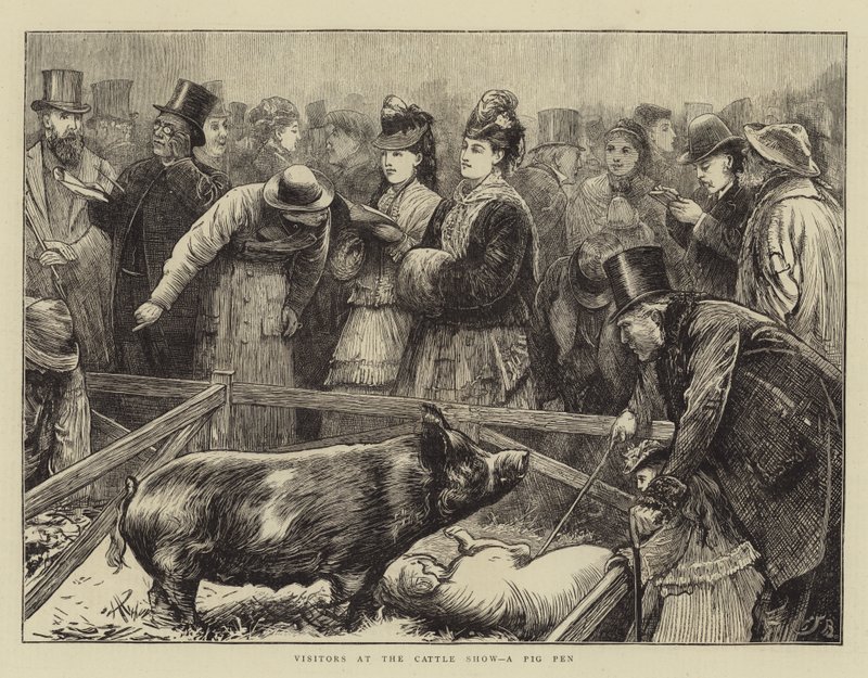 Visitantes en la exposición de ganado, un corral de cerdos de Edward Frederick Brewtnall