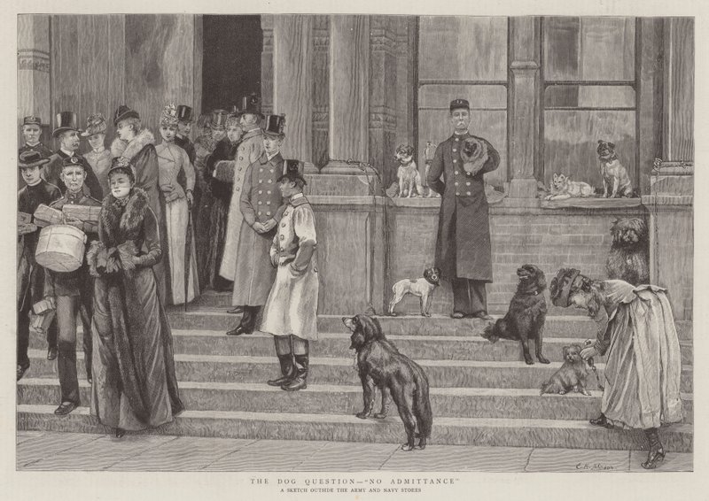 La Cuestión del Perro, No Admisión de Edward Killingworth Johnson