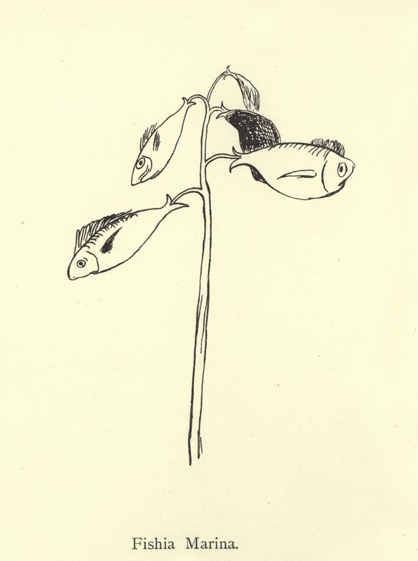 Fishia Marina de Edward Lear