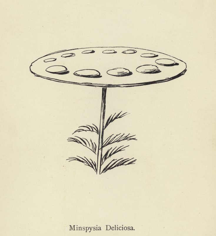 Minspysia Deliciosa de Edward Lear