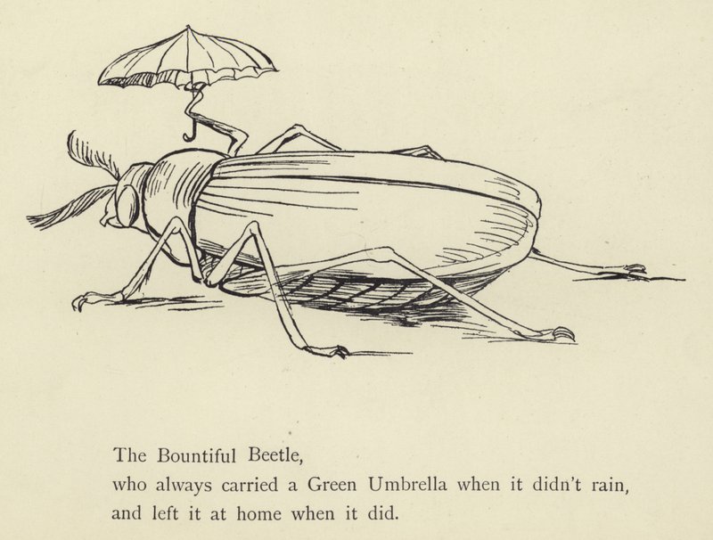 El escarabajo generoso de Edward Lear
