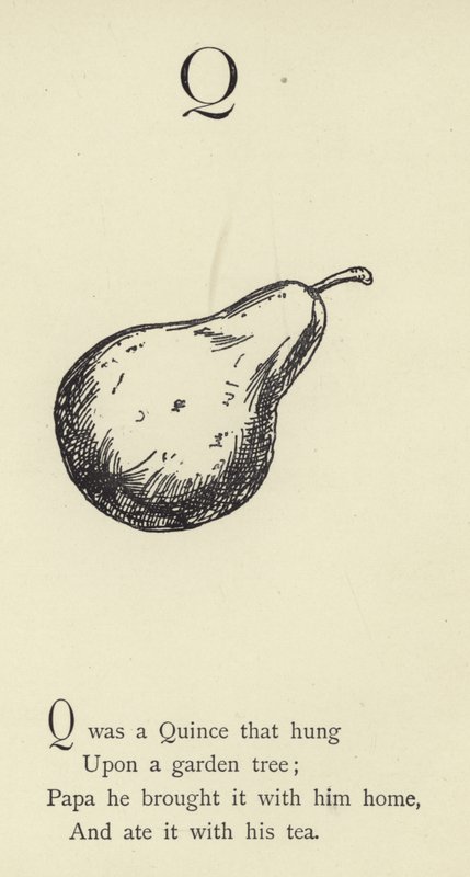 La letra Q de Edward Lear
