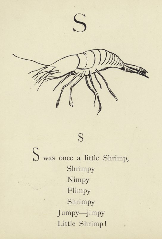 La letra S de Edward Lear