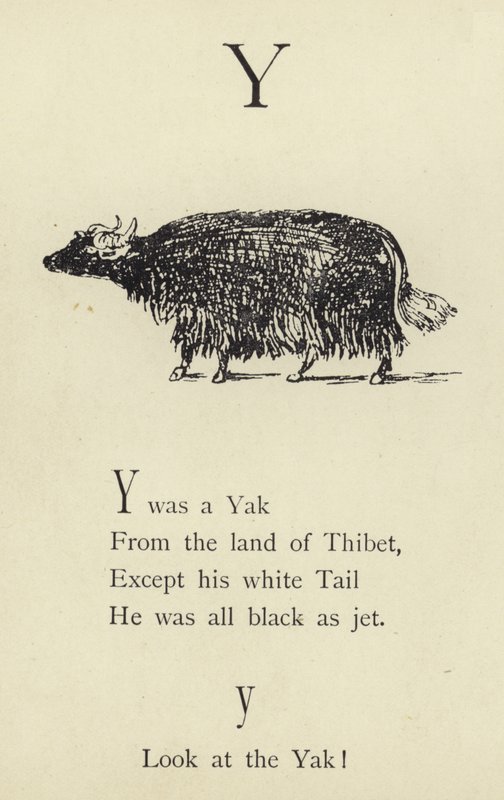 La letra Y de Edward Lear