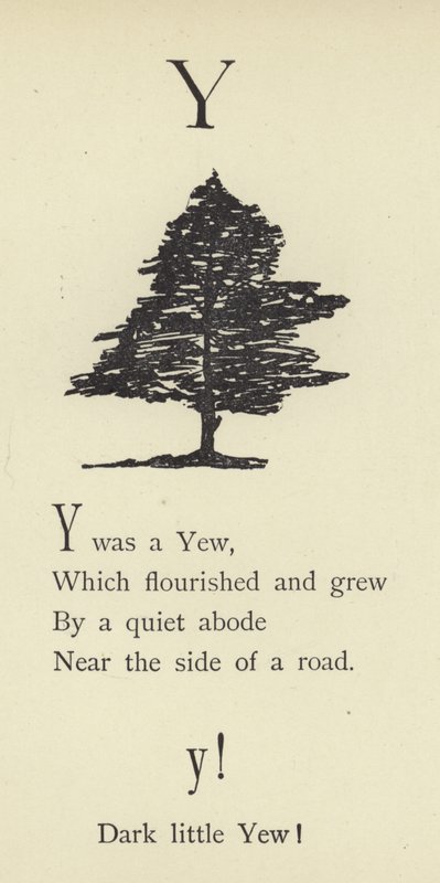 La letra Y de Edward Lear
