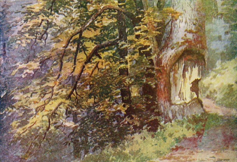 En la carretera circular, Gulmarg de Edward Mary Joseph Molyneux