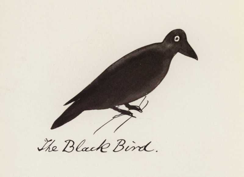 Edward Lear, El libro de los pájaros: El pájaro negro (litografia en color) de Edward (after) Lear