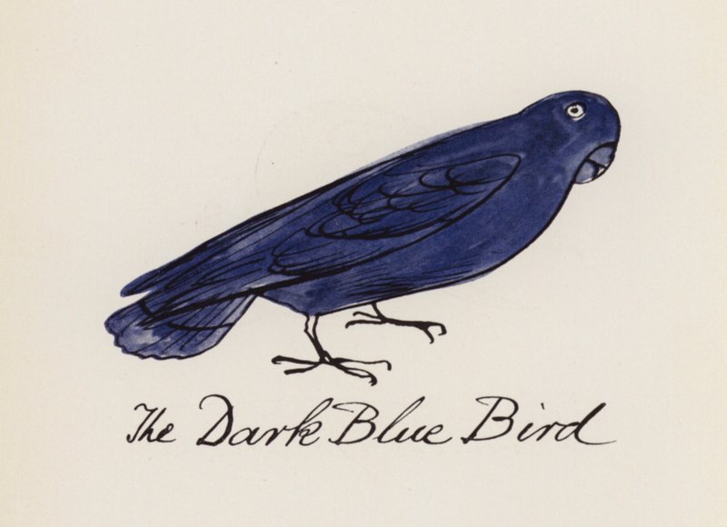 Edward Lear, El libro de los pájaros: El pájaro azul oscuro (litografia en color) de Edward (after) Lear