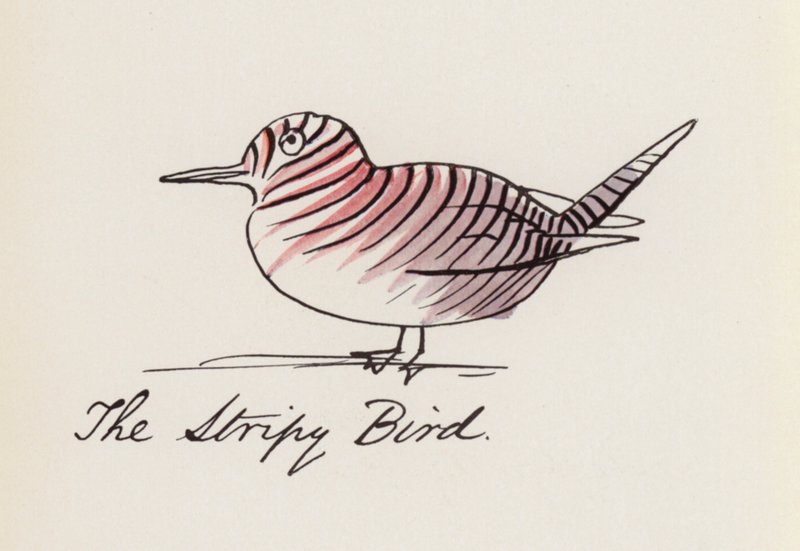 Edward Lear, El libro de los pájaros: El pájaro rayado (litografia en color) de Edward (after) Lear