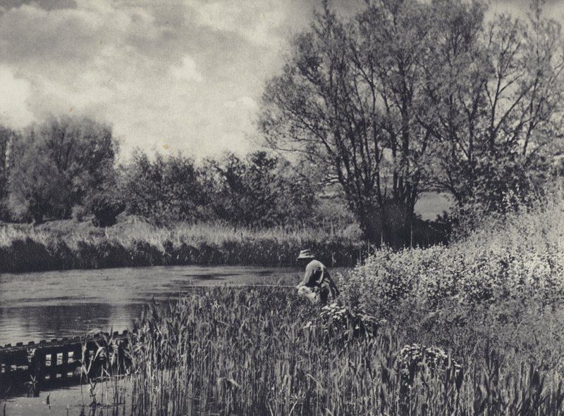 May-time on a Test Tributary (foto en blanco y negro) de Edward Alfred Barton